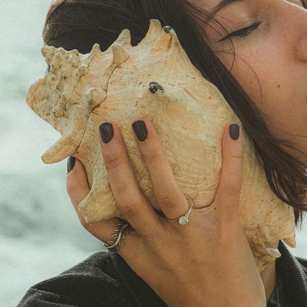 Shell
